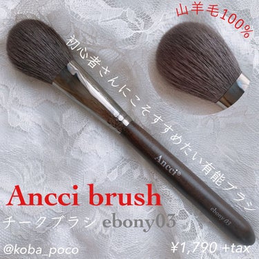 Ebony 03/Ancci brush/メイクブラシを使ったクチコミ（1枚目）