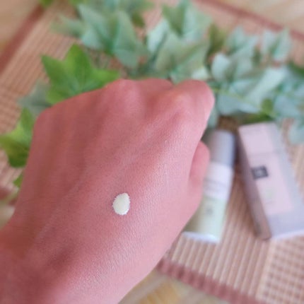 スキンプロテクトベース<皮脂くずれ防止>SPF50/プリマヴィスタ/化粧下地を使ったクチコミ(2枚目)