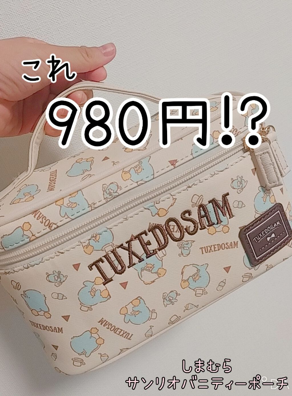 試してみた バニティポーチ サンリオキャラクターズ レトロ しまむら Lips 試してみた バニティポーチ サンリオキャラクターズ レトロ しまむら Lips