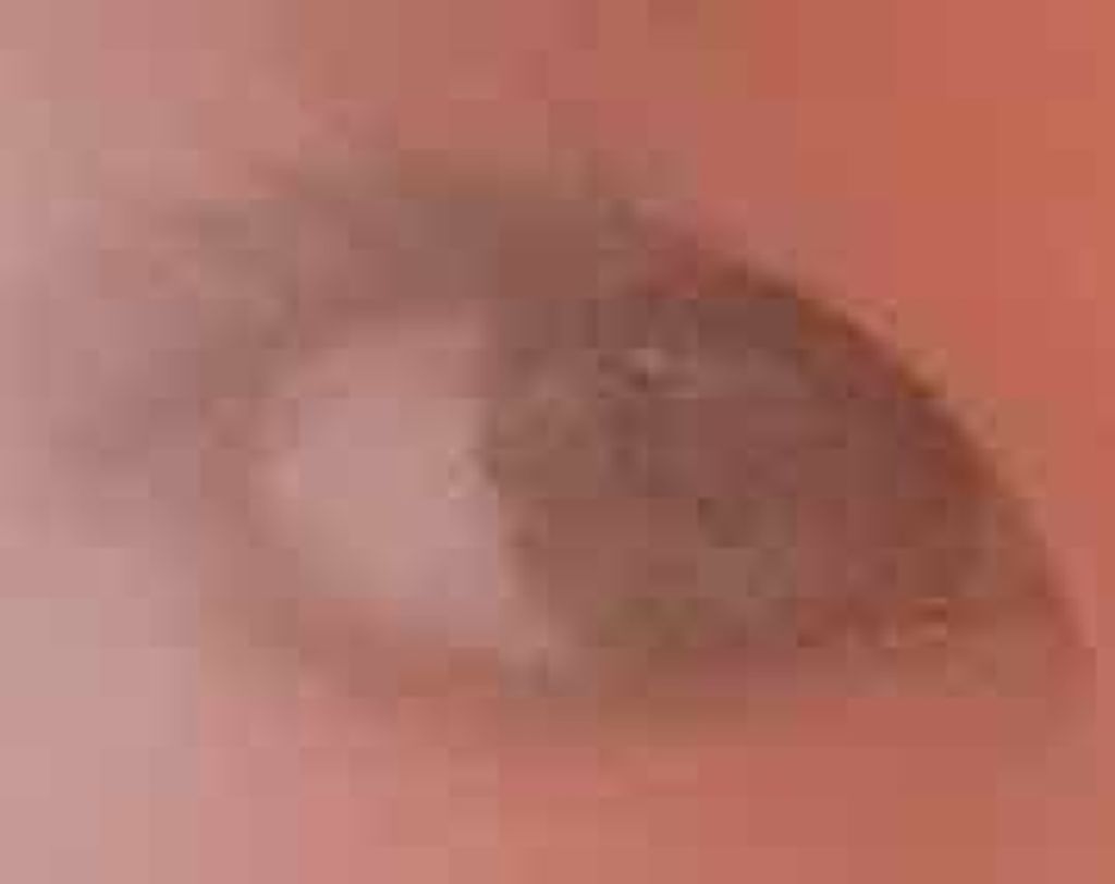 オーマイラッシュマスカラ カールマスカラ/ETUDE/マスカラを使ったクチコミ（3枚目）