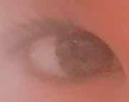 マイビューティーツール アイラッシュカーラー/ETUDE/ビューラーを使ったクチコミ(3枚目)