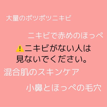 ハトムギ化粧水(ナチュリエ スキンコンディショナー R )/ナチュリエ/化粧水を使ったクチコミ（1枚目）