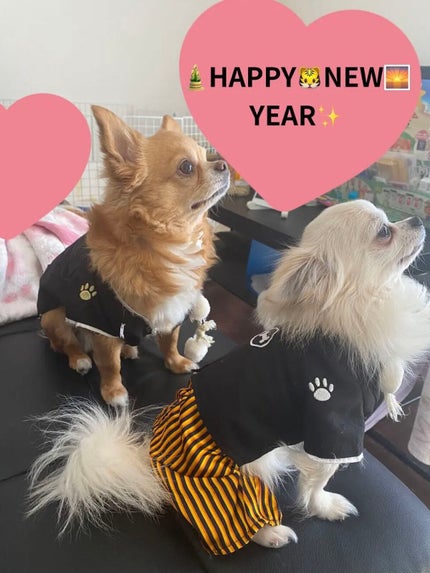 ヴェルニ ディオリフィック/Dior/マニキュアを使ったクチコミ(5枚目)