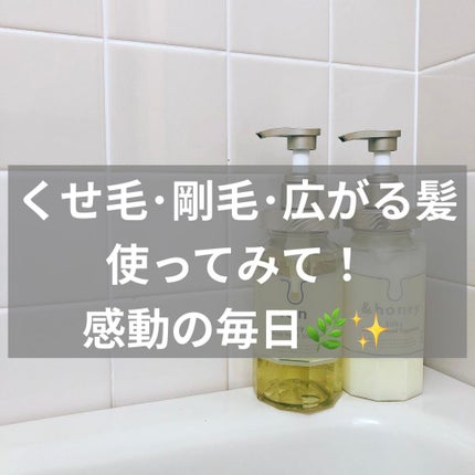 シルキー スムースモイスチャー シャンプー 1.0/ヘアトリートメント 2.0/&honey/市販シャンプーを使ったクチコミ(1枚目)