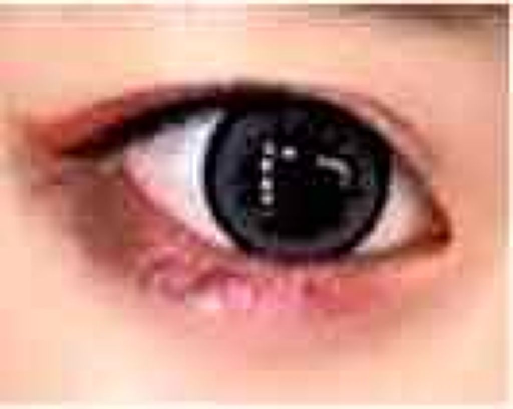 【旧品】パーフェクトスタイリストアイズ/キャンメイク/アイシャドウパレットを使ったクチコミ（2枚目）