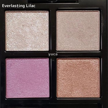 アディクション　ザ アイシャドウ パレット 002 Everlasting Lilac/ADDICTION/アイシャドウパレットを使ったクチコミ（2枚目）