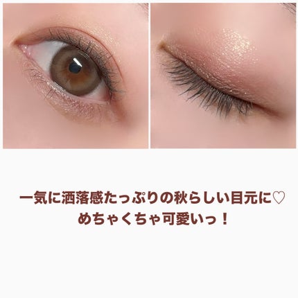 フェイスカラーパレット/チャコット・コスメティクス/アイシャドウパレットを使ったクチコミ(6枚目)