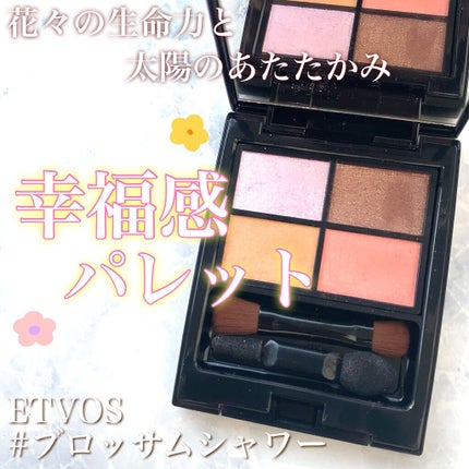 ミネラルクラッシィシャドー/エトヴォス/アイシャドウパレットを使ったクチコミ(1枚目)