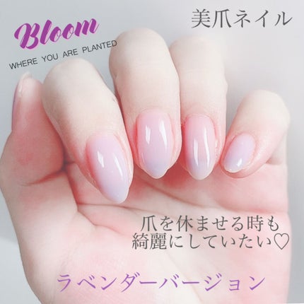 ネイルケアプロテクター/オルビス/ネイルオイル・トリートメントを使ったクチコミ(1枚目)