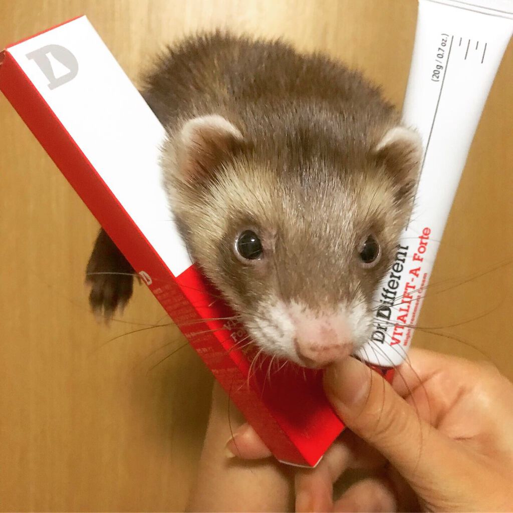 VITALIFT A forte/Dr.Different/フェイスクリームを使ったクチコミ(3枚目)