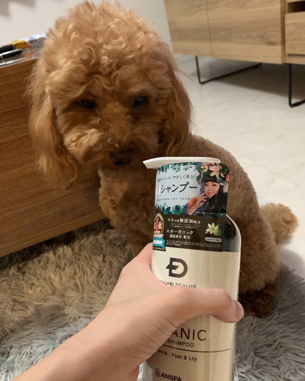 スカルプD ボーテ ナチュラスター スカルプシャンプー／トリートメントパック/アンファー(スカルプD)/シャンプー・コンディショナーを使ったクチコミ（2枚目）