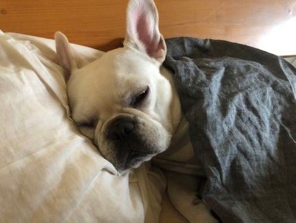 ホホバオイル/無印良品/ボディオイルを使ったクチコミ(1枚目)