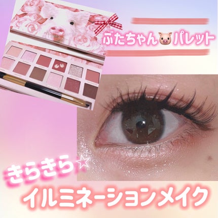 エクスプローラ12色 動物アイシャドウパレット/PERFECT DIARY/アイシャドウパレットを使ったクチコミ(1枚目)