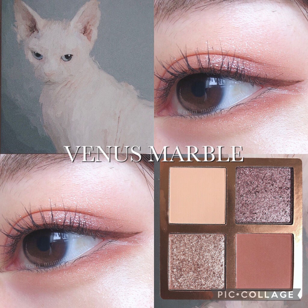Venus Marble アイシャドウキャットシリーズ/Venus Marble/アイシャドウパレットを使ったクチコミ(1枚目)