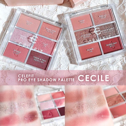 プロアイシャドウパレットセシル/CELEFIT/アイシャドウパレットを使ったクチコミ(1枚目)