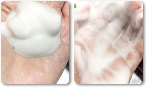 FeMish Premium WHIP/cellnote/デリケートゾーンケアを使ったクチコミ（3枚目）