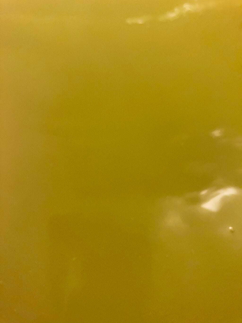 こだわりゆず 炭酸湯/温泡/炭酸系入浴剤を使ったクチコミ(4枚目)