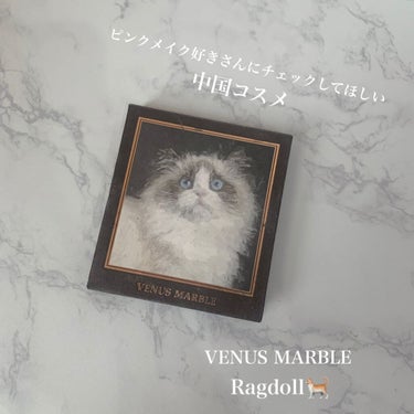 Venus Marble アイシャドウキャットシリーズ/Venus Marble/アイシャドウパレットを使ったクチコミ（1枚目）