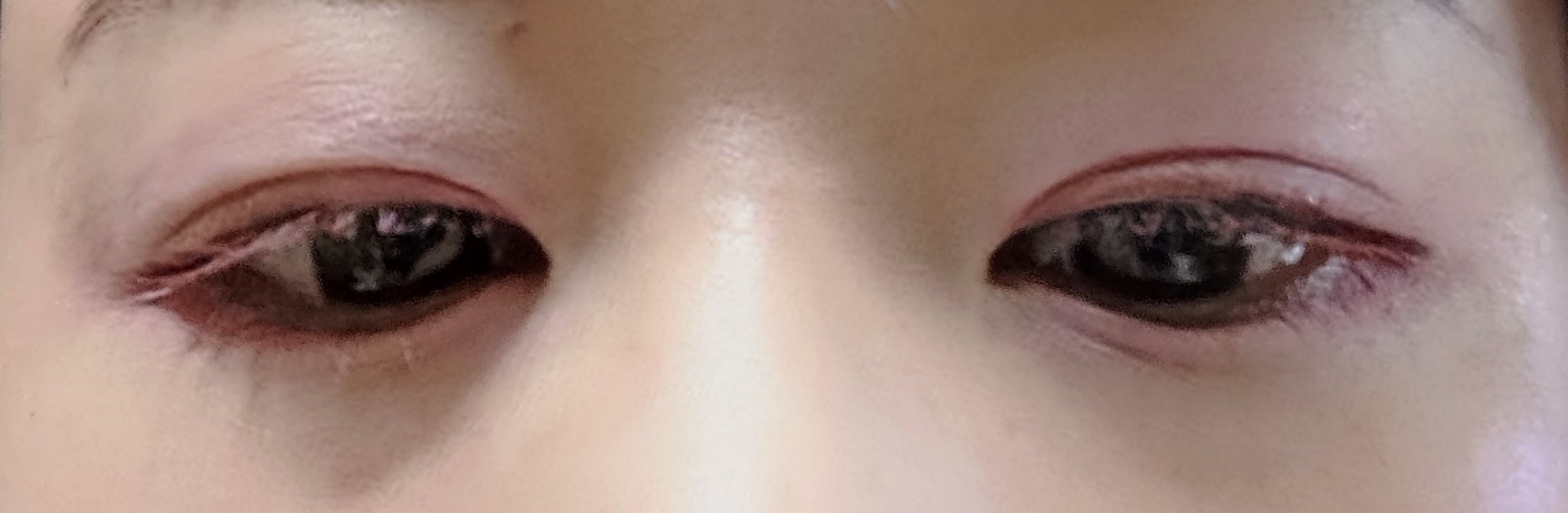 プロ アイ パレット エアー/CLIO/アイシャドウパレットを使ったクチコミ（3枚目）