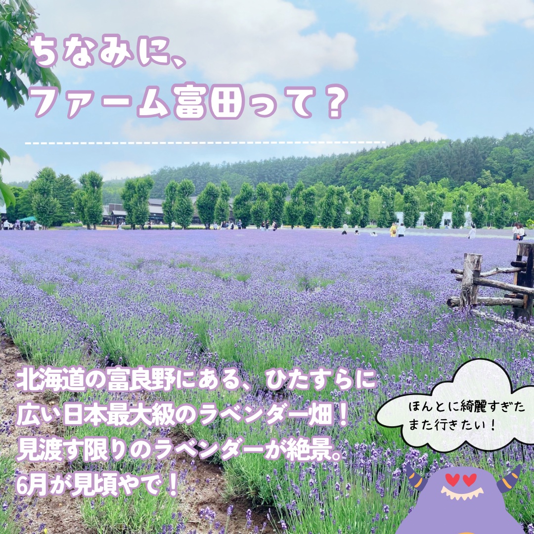 ラベンダーロールオン/ファーム富田/香水(レディース)を使ったクチコミ（3枚目）