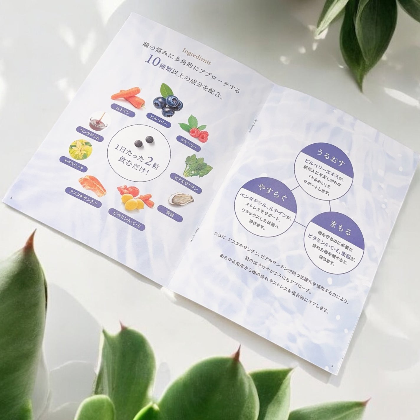 Eyepa/Eyepa/健康サプリメントを使ったクチコミ(3枚目)