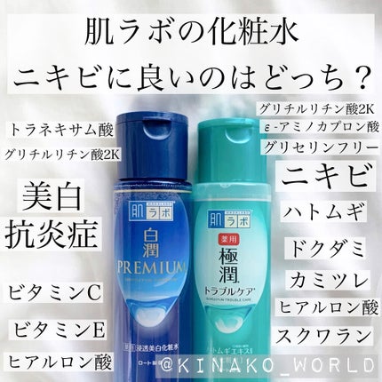 薬用 極潤 スキンコンディショナー/肌ラボ/化粧水を使ったクチコミ(1枚目)