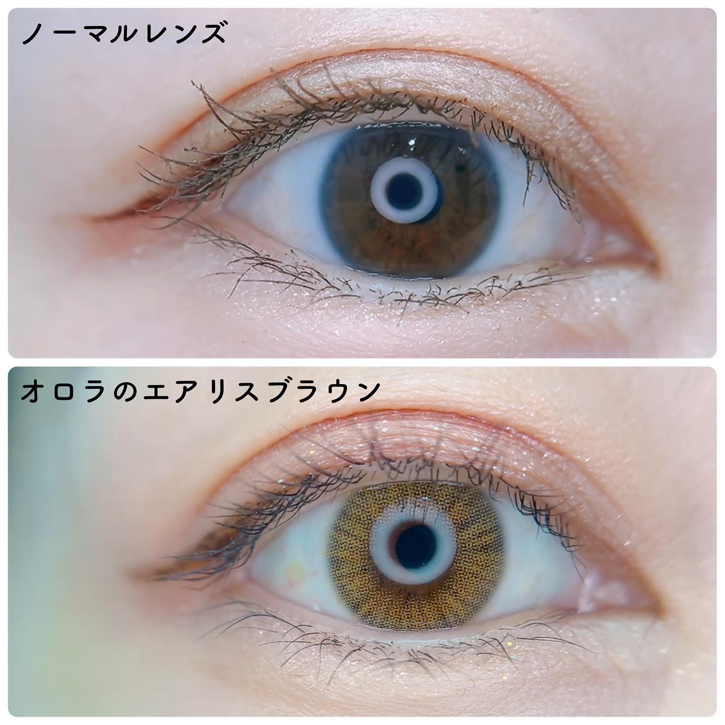 エアリス(Heiress) ブラウン/OLOLA/カラーコンタクトレンズを使ったクチコミ（2枚目）