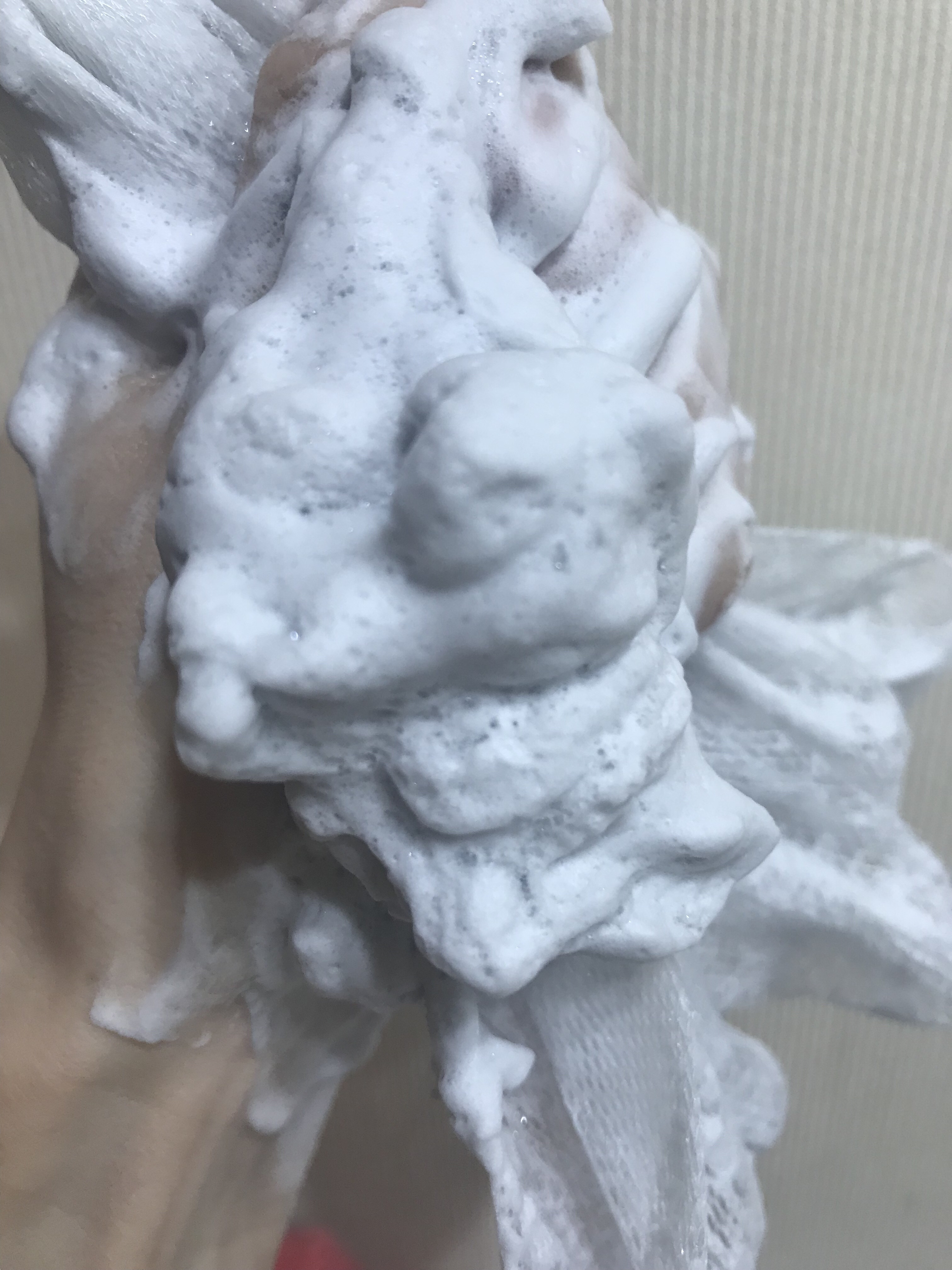 毛穴小町 テカリ源治 もちもちブラック洗顔/クリアターン/洗顔フォームを使ったクチコミ（3枚目）