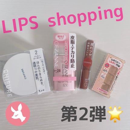 カラーミキシングコンシーラー/キャンメイク/パレットコンシーラーを使ったクチコミ(1枚目)