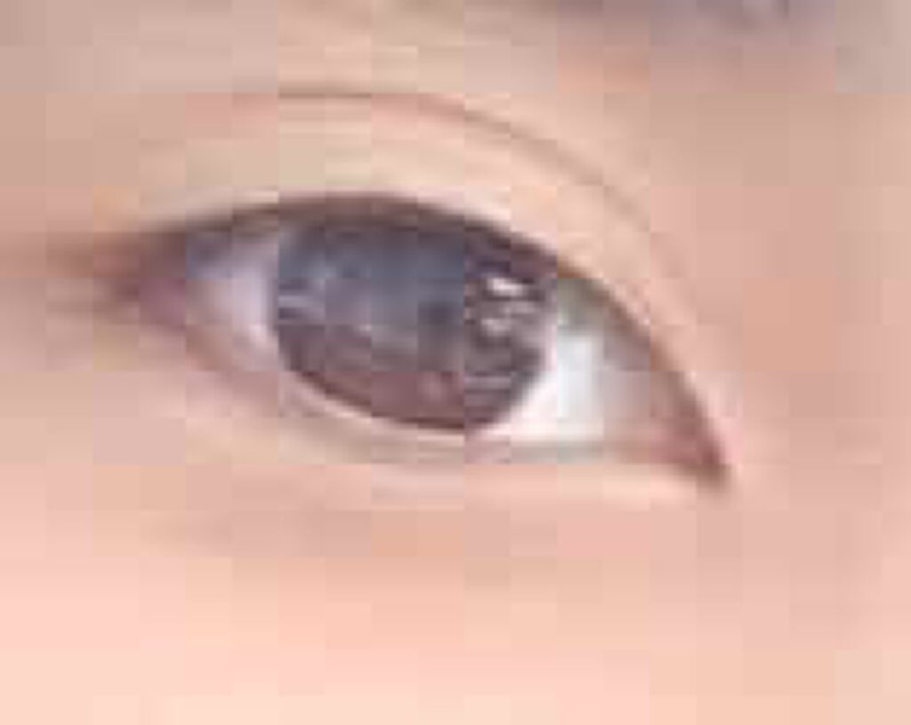 メジカライナー ナイト＆ハード/シェモア/二重まぶた用アイテムを使ったクチコミ（2枚目）