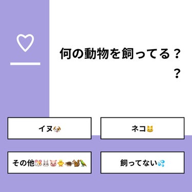 【質問】
何の動物を飼ってる？？

【回答】
・イヌ🐶：27.3%
・ネコ🐱：27.3%
・その他🐹🐰🐷🐥🦔🐿🦜：27.3%
・飼ってない💦：18.2%

#みんなに質問

==============