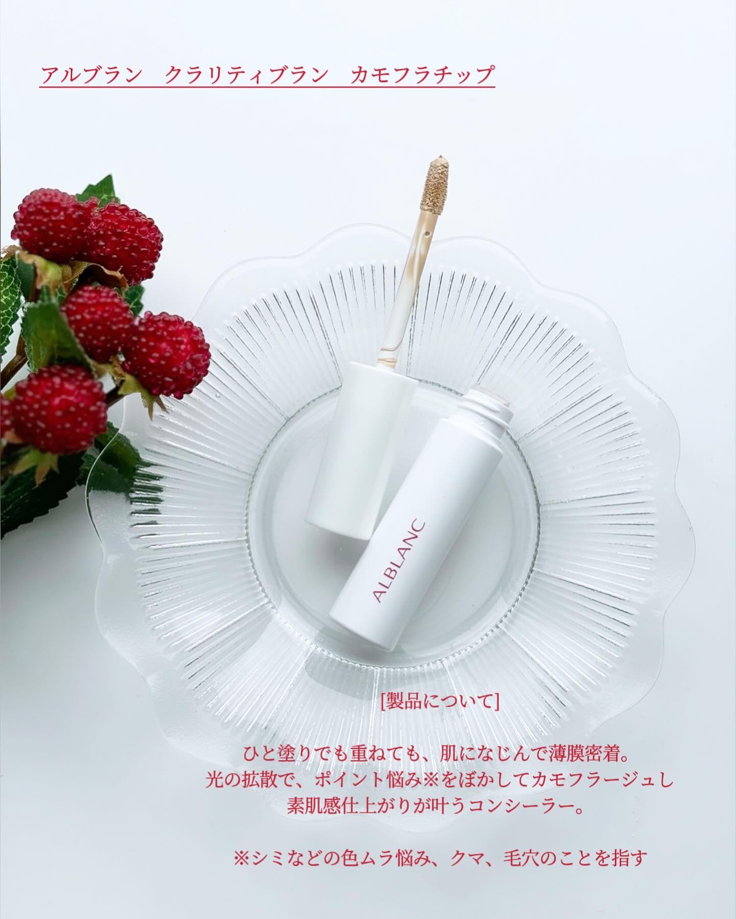 クラリティブラン カモフラチップ/ALBLANC/リキッドコンシーラーを使ったクチコミ（2枚目）