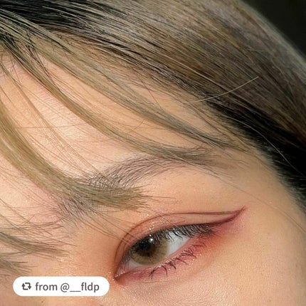 エクスプローラ12色 動物アイシャドウパレット/PERFECT DIARY/アイシャドウパレットを使ったクチコミ(4枚目)