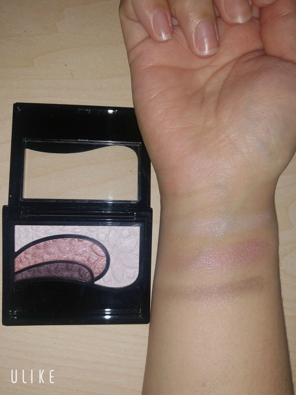 そのまま簡単仕上げ アイカラー/エルシア/アイシャドウパレットを使ったクチコミ（2枚目）