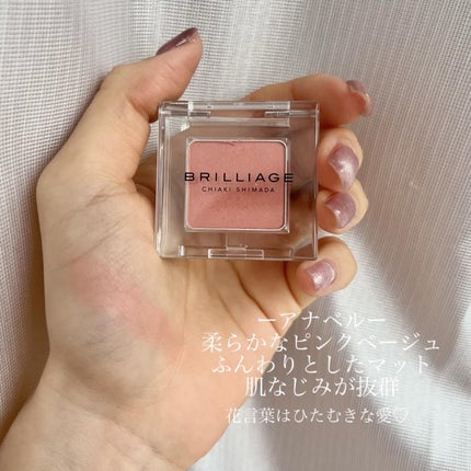 ワンダークリエイション /ブリリアージュ/単色アイシャドウを使ったクチコミ(3枚目)