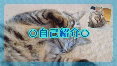 自己紹介です。あと、有名人ではないのですが質問コーナーとかやってみたいなぁと最近思ってます(/-＼*)もしよければ、質問、リクエスト等お願いします！