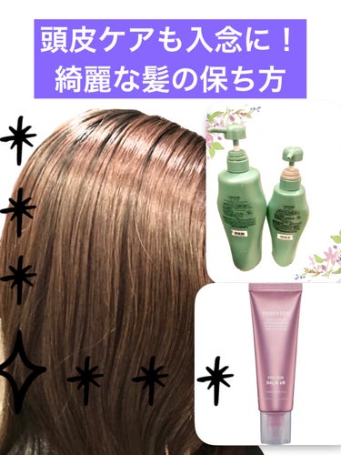 ザ・ヘアケア フェンテフォルテ シャンプー／トリートメント 資生堂プロフェッショナル