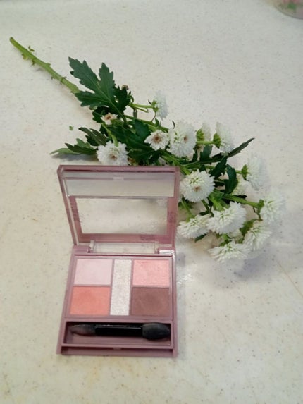 パーフェクトスタイリストアイズ/キャンメイク/アイシャドウパレットを使ったクチコミ(1枚目)