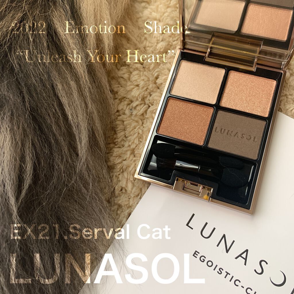 アイカラーレーション/LUNASOL/アイシャドウパレットを使ったクチコミ（2枚目）