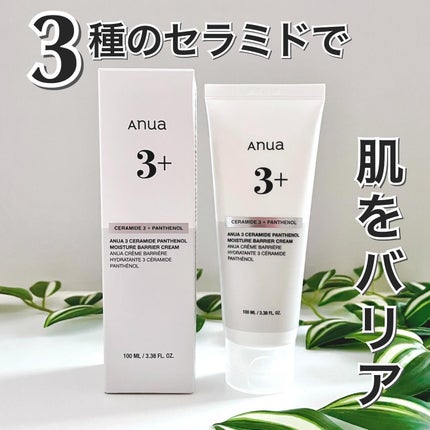 3セラミドパンテノールモイスチャーバリアクリーム/Anua/フェイスクリームを使ったクチコミ(1枚目)