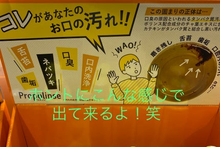 プロポリンス/プロポリンス/マウスウォッシュ・スプレーを使ったクチコミ(4枚目)