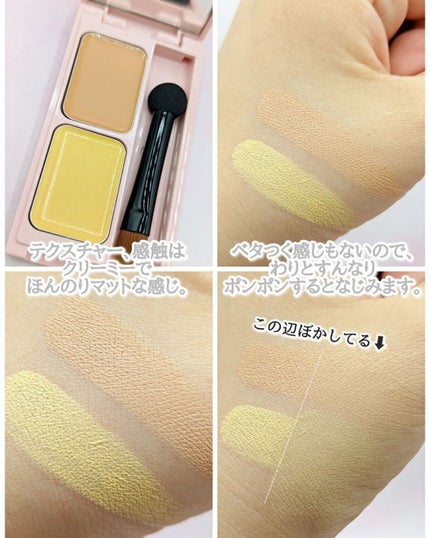 フーミー キニシーラー/WHOMEE/パレットコンシーラーを使ったクチコミ(6枚目)