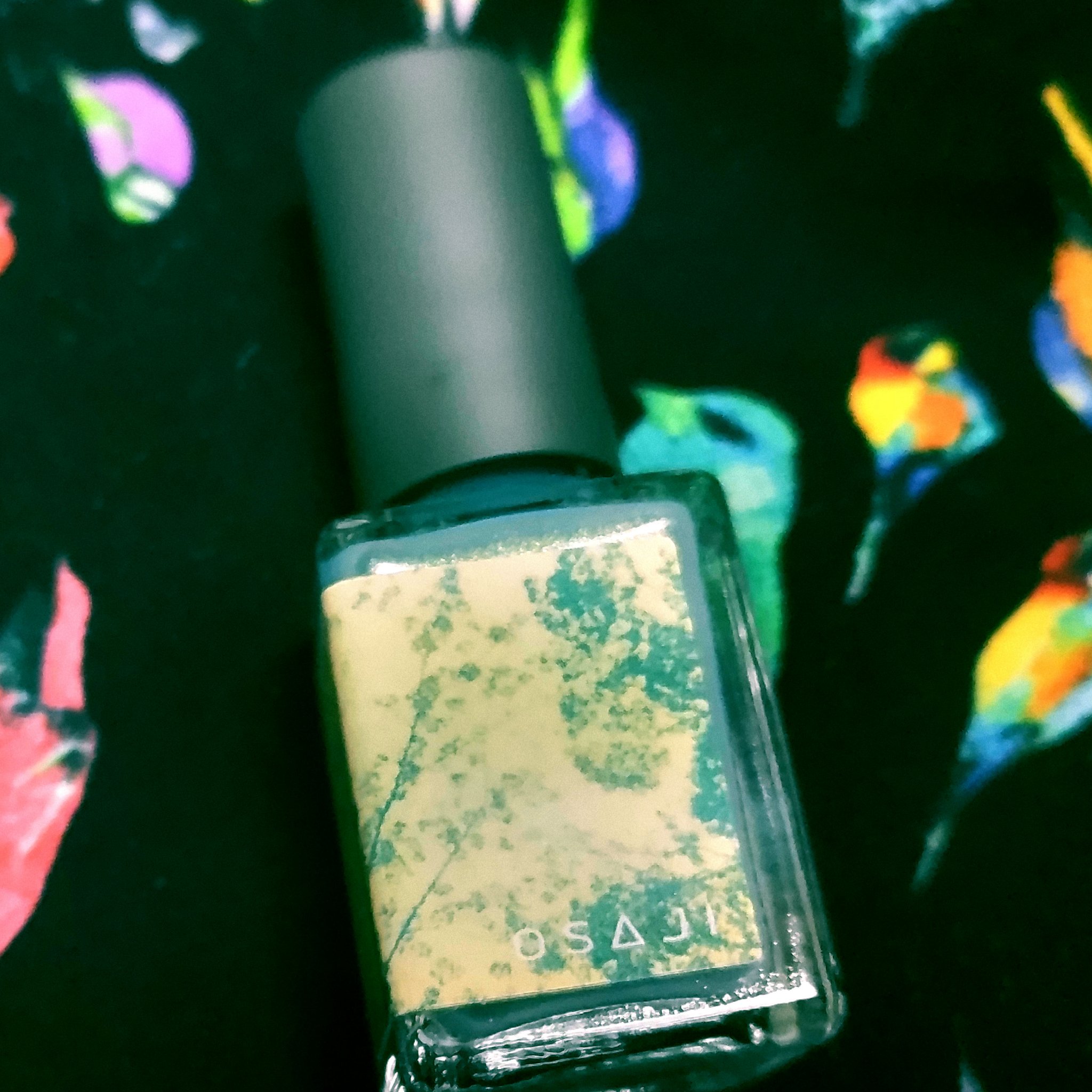 オサジ アップリフト ネイルカラー/OSAJI/マニキュアを使ったクチコミ（3枚目）