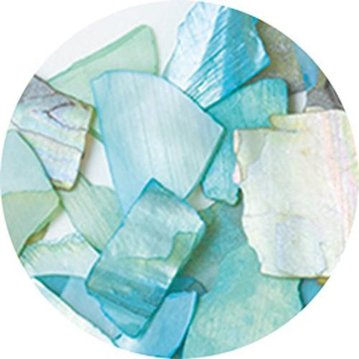 ナチュラルビーチシェル S-3 グリーンMIX