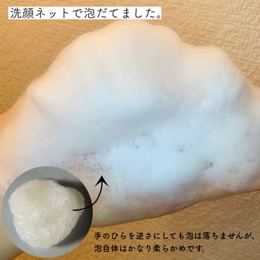 済州ツバキマイルドフォームクレンザー/Neulii/洗顔フォームを使ったクチコミ（3枚目）