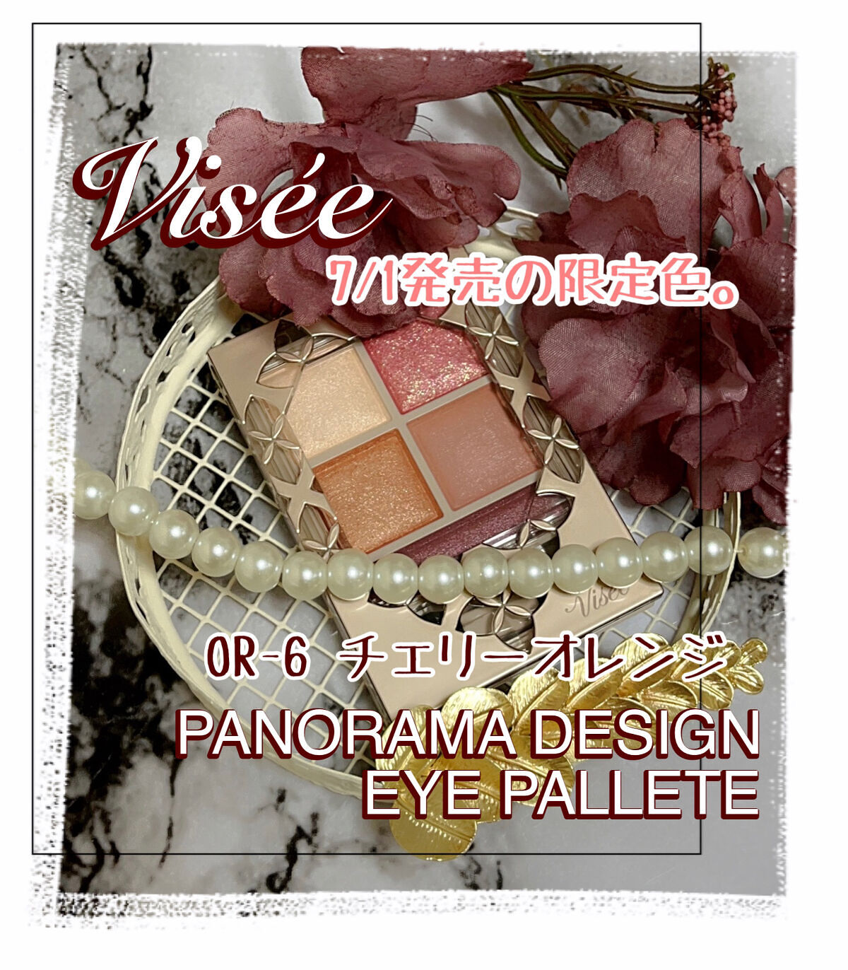 パノラマデザイン アイパレット/Visée/アイシャドウパレットを使ったクチコミ（1枚目）