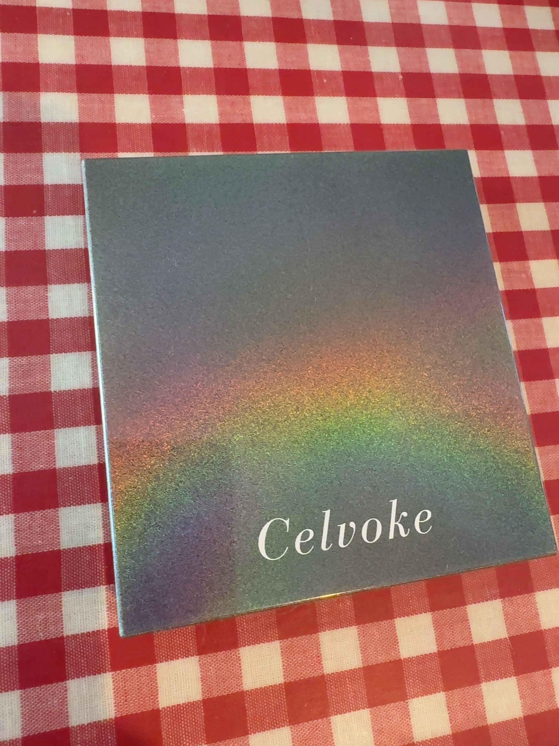 セルヴォーク エクスプレッシヴ リップス/Celvoke/口紅を使ったクチコミ（2枚目）