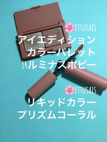 アイエディション(カラーパレット)/ettusais/パウダーアイシャドウを使ったクチコミ（2枚目）