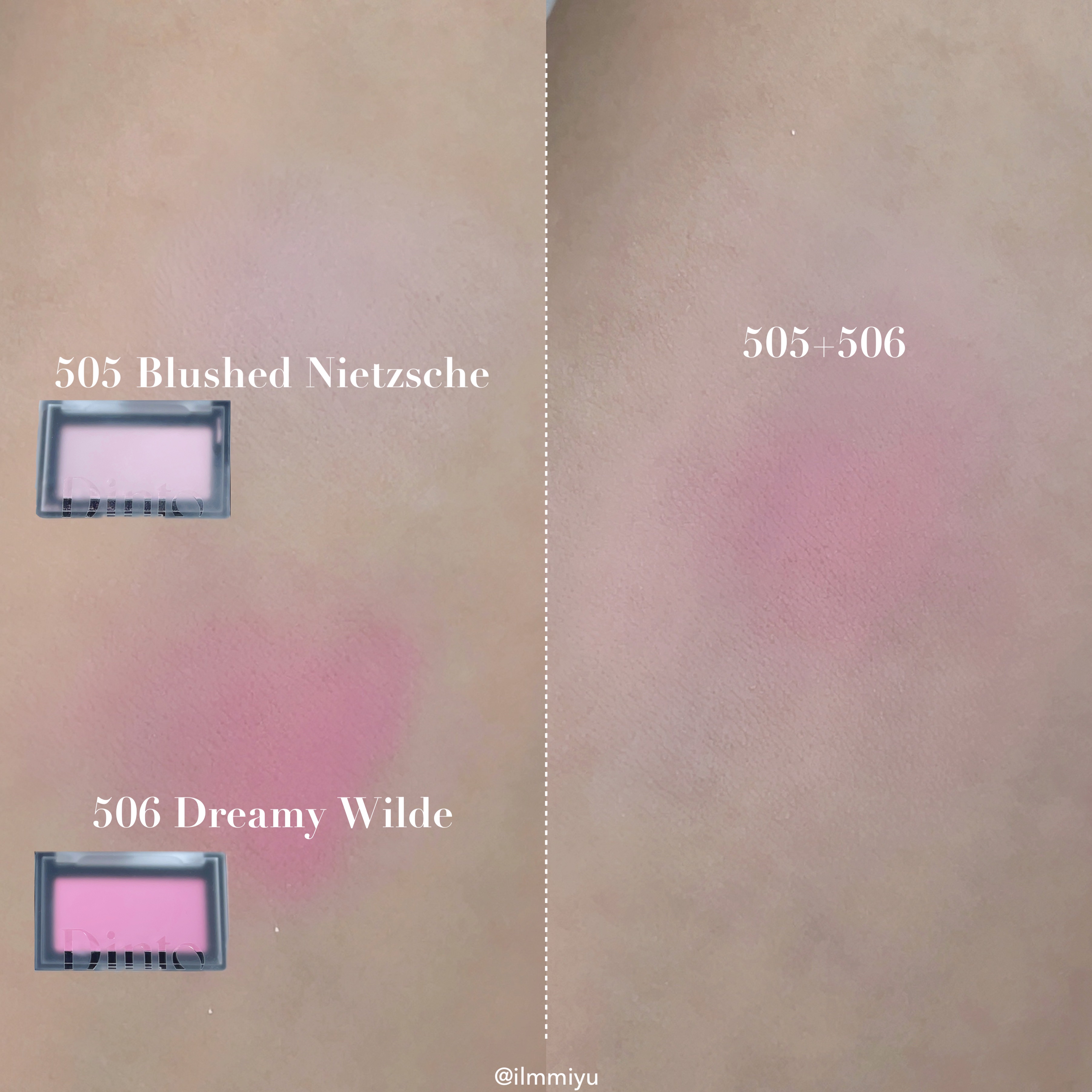 ブラーフィニシュシャドウパレット/Dinto/アイシャドウパレットを使ったクチコミ（3枚目）