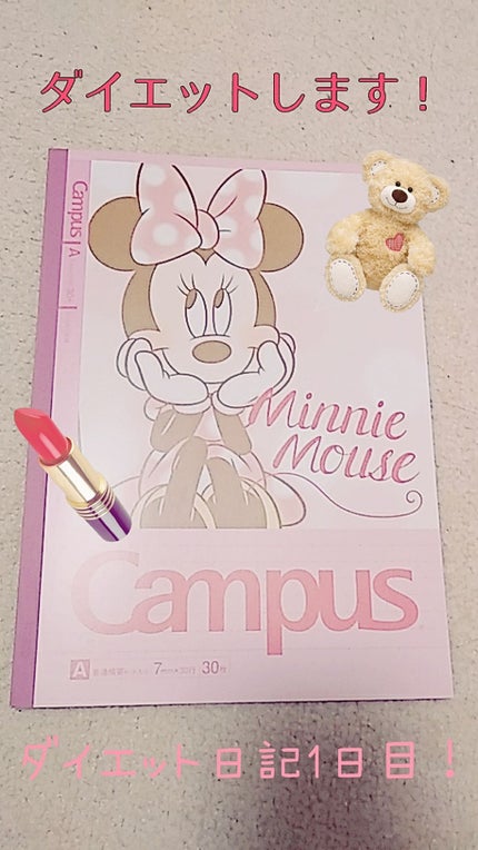 自己紹介/雑談/その他を使ったクチコミ(1枚目)